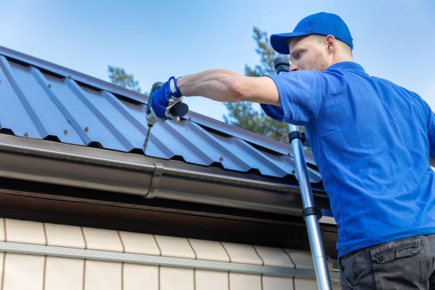 Best Gutter Replacement  in Jamestown, ND