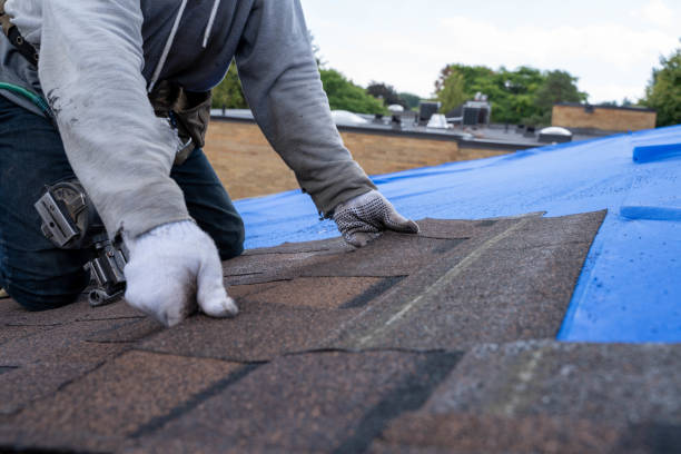 Best Roof Installation  in Jamestown, ND
