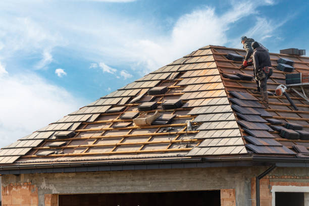Best Skylight Installation and Repair  in Jamestown, ND