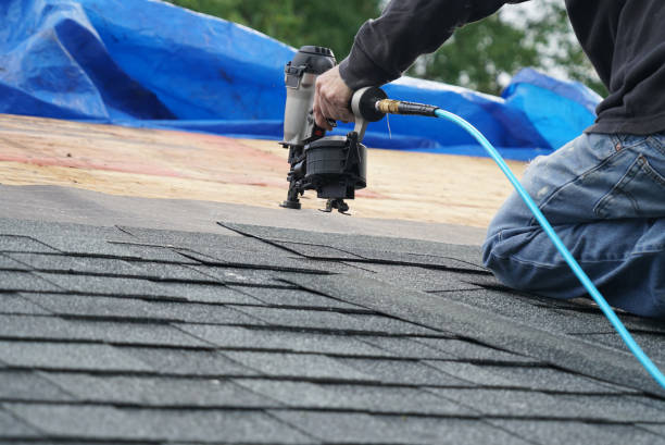 Best Green or Eco-Friendly Roofing Solutions  in Jamestown, ND